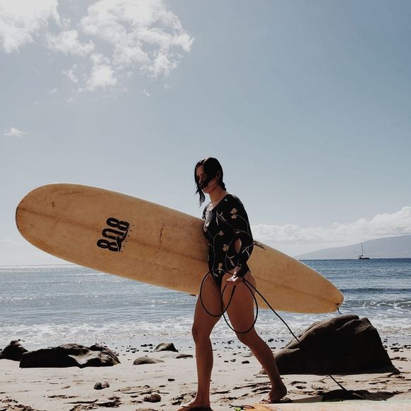 Meet your Posher, Sammy - Picture 1 of 1